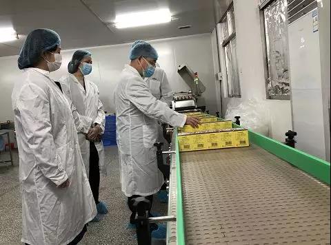 同心抗疫，，，，，确保质量！诸侯快讯公司振隆厂外车间接受广药集团生产监视包管小组事情督导